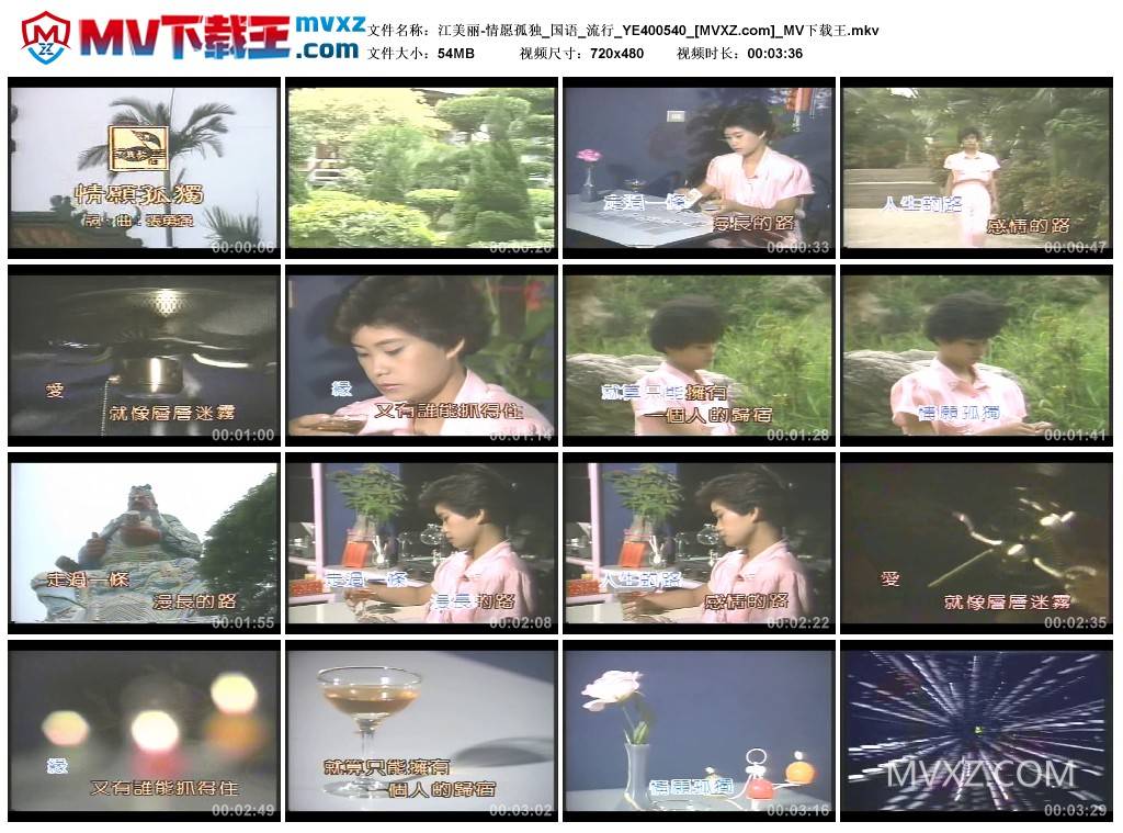 江美丽-情愿孤独_国语_流行_YE400540